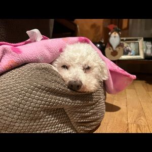 Meet your Posher, Ava